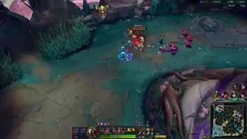 zed
