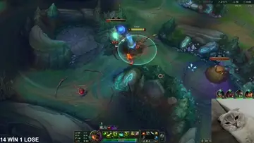 twitch twitch?_