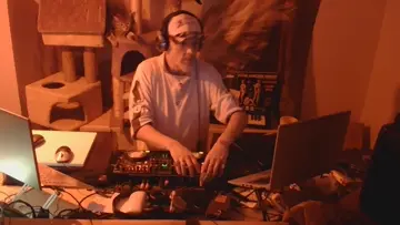 cat fight