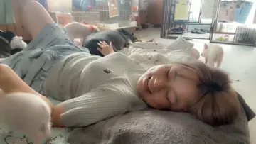 面白い