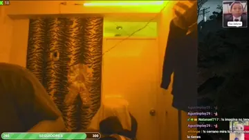 Ñangon bug
