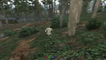 bug 77