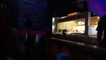perritoel misaa
