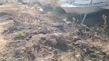 Holly kurtarma takımı sunar: cicikuş