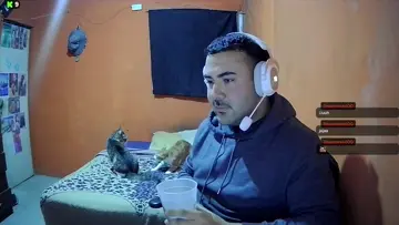 boxingcat