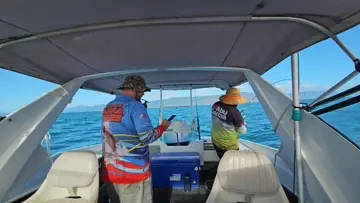 nice trevally