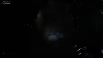 dumbass