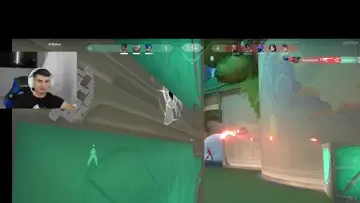 dadasd