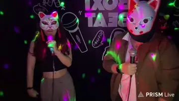 esto hacen tus gatos cuando van al techo