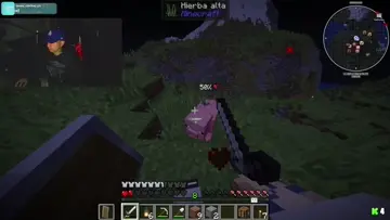XD