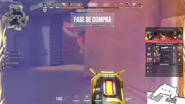 factos
