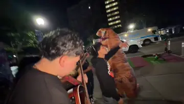 pero asta el suelo