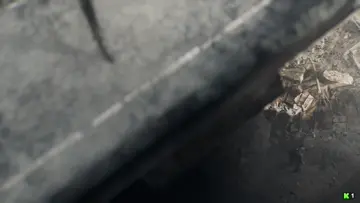 Büyük Tarantula 🕷️🕸️