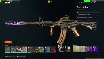 what happen to this its what i meant skin be4 camo
