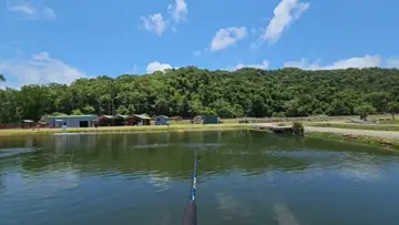 Good barramundi