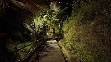 💚