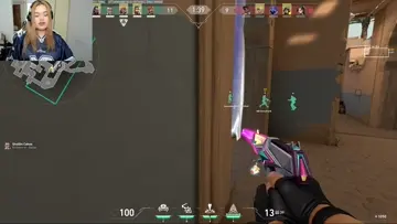 cansada de ese perro de mierda de la bomba xd