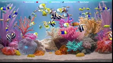 fishies