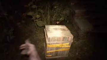 Resident Evil 7 Ghost?