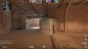 gut