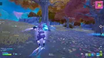 1st clip