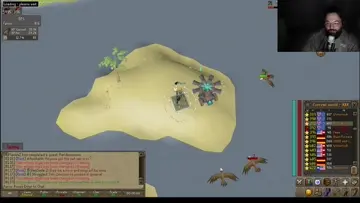 rip 240m