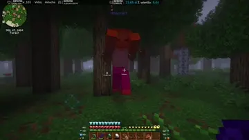 Pasażer na gape ! XD