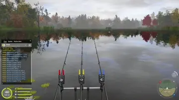 snipes