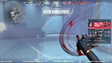 REYNA : BELA