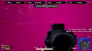 Chicken Dinner!