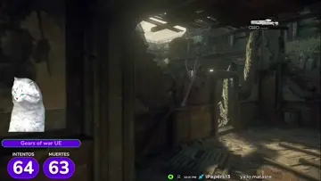 El rebote de nemacyst