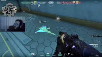 xd