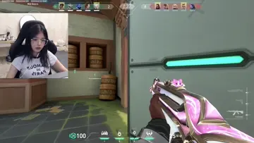 Gun drop