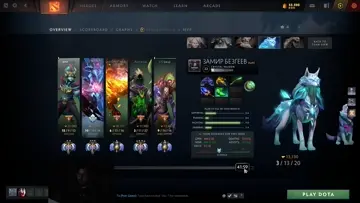 new bug