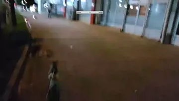 paşanın iç ses