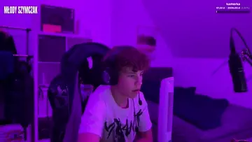 snippet