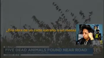 Yo cuando alguien alfin escribe en chat