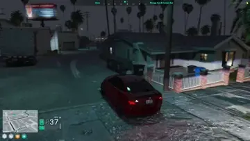 The Raccoon special