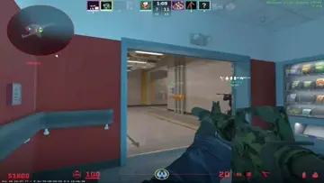 nice reflex