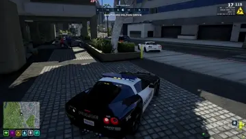 Coquette D7 vs Yugular