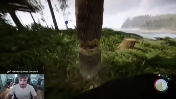 Timber!