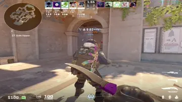 quadro awp