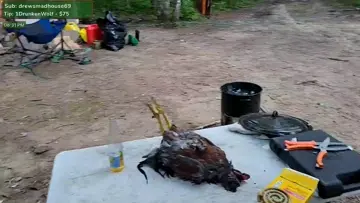 Chicken number two