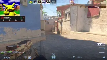kosa na szelis x2