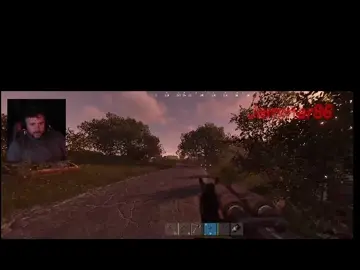 accidentally killed my horse