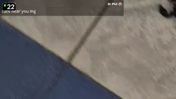Scorpion Found