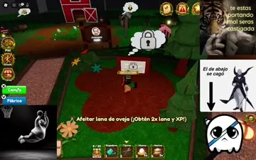 que XD