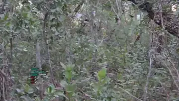 ACE SHOOTING