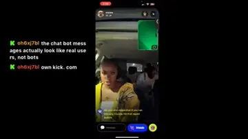 Random Monkey Clip 😂