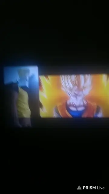 DEMASIADA ESENCIA